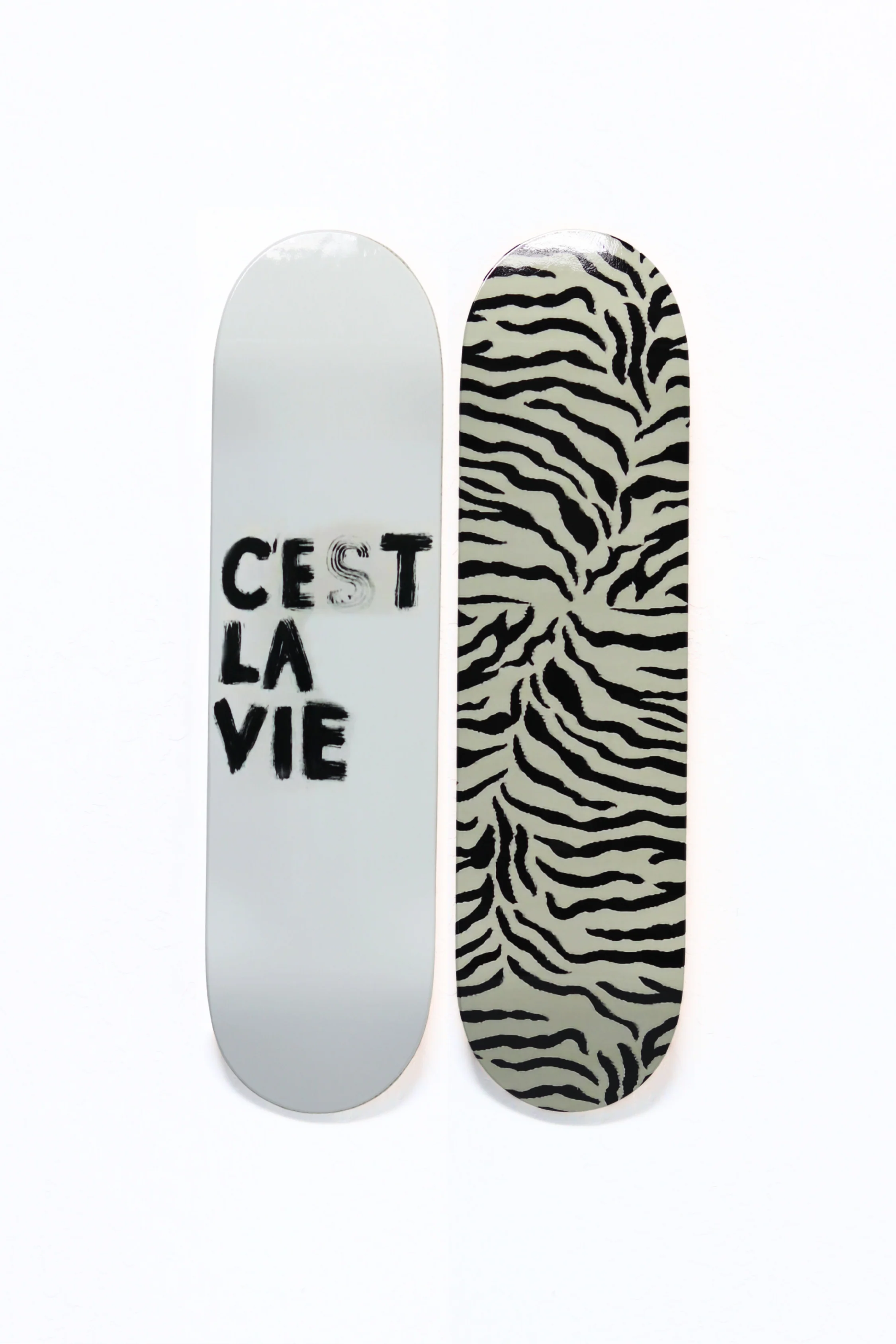 CEST X ZEBRA - Image 2